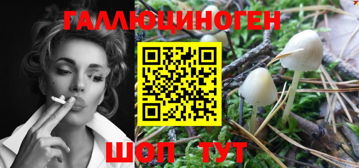 Галлюциногенные грибы мицелий  Вход с VPN  Галлюциногенные грибы MAGIC MUSHROOMS  Избербаш 