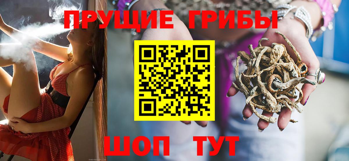 Псилоцибиновые грибы ЛСД Избербаш