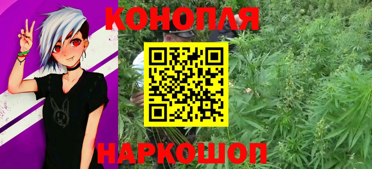 Бошки марихуана гибрид Избербаш